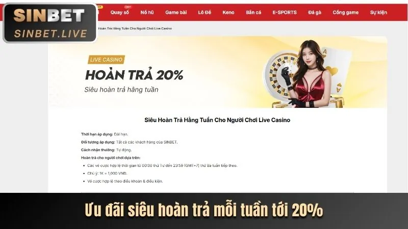 Các chương trình khuyến mãi hấp dẫn